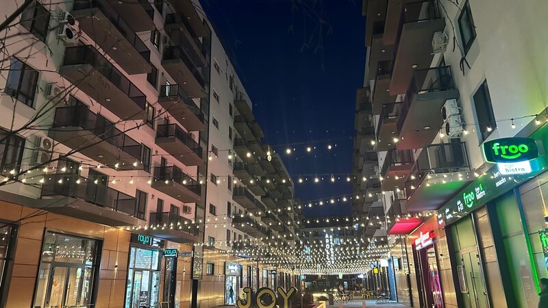 Berceni, Popesti Leordeni, Biruintei 81